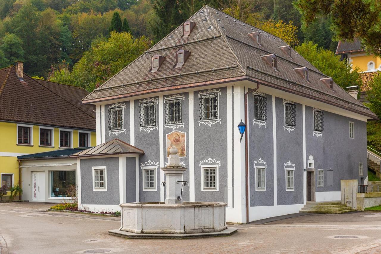 Schwarzes Haus Acomodação com café da manhã Ybbsitz Exterior foto
